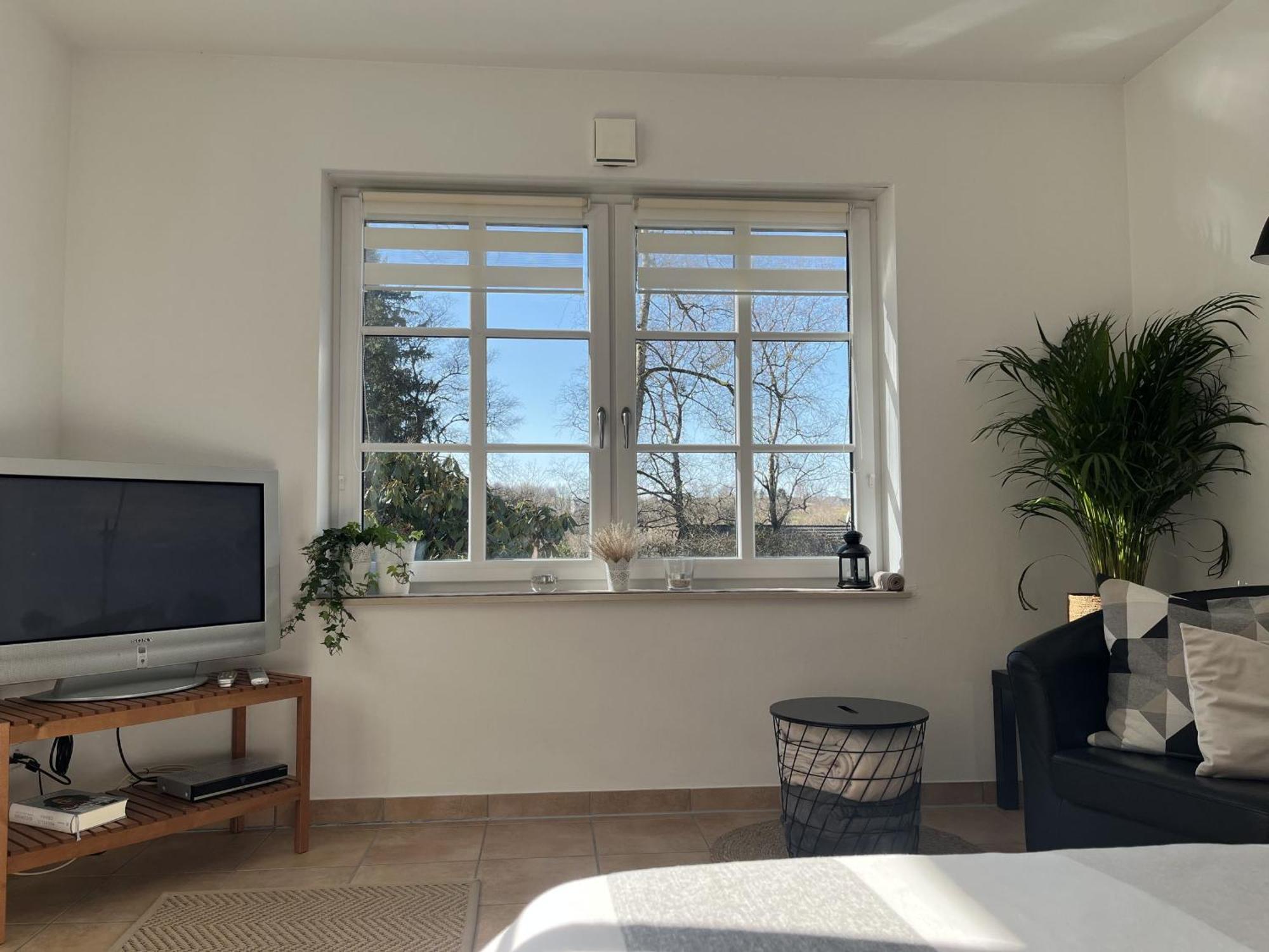 Scheppes Auszeit Apartment Wenden  Екстериор снимка