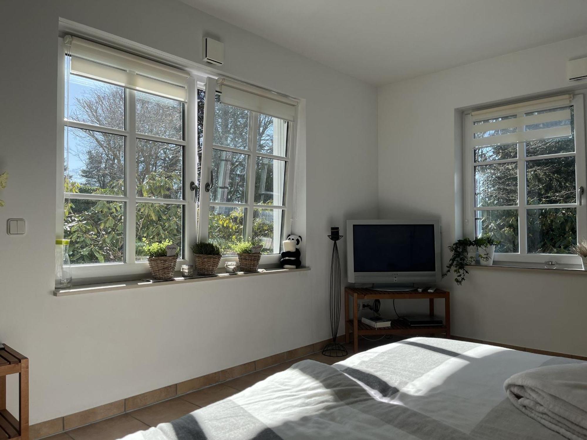 Scheppes Auszeit Apartment Wenden  Екстериор снимка